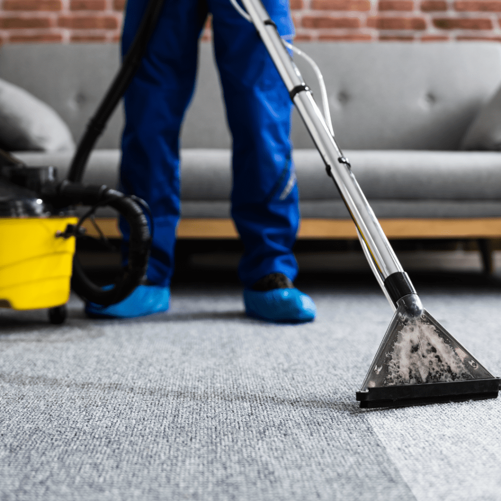 Professional cleaner using steam cleaning equipment on grey carpet in a modern living space, emphasizing eco-friendly carpet care and hygiene.
