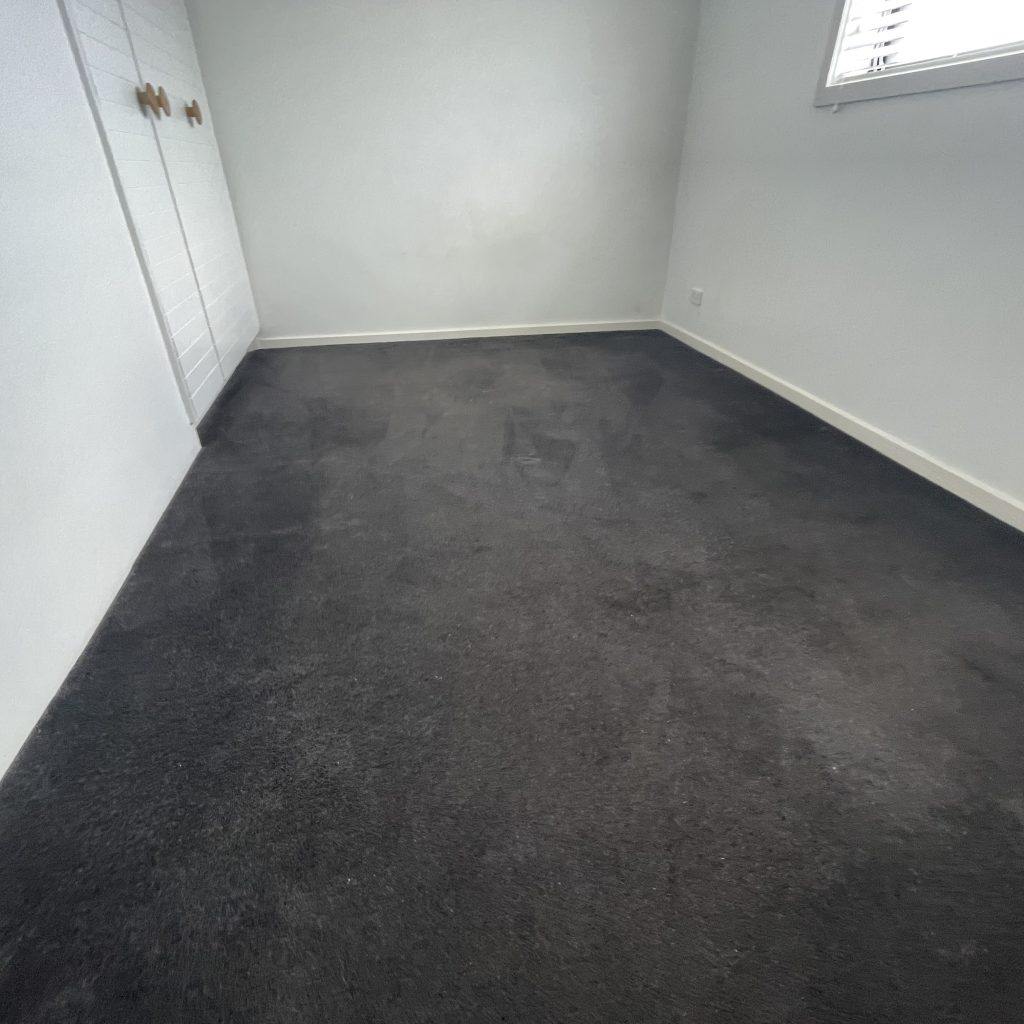 Cleaned carpet in a spacious, light-filled room, showcasing a fresh and hygienic environment, ideal for enhancing indoor air quality and comfort.